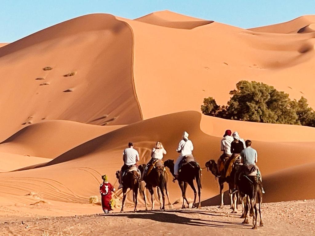 Berber Nomad Experience — 3
