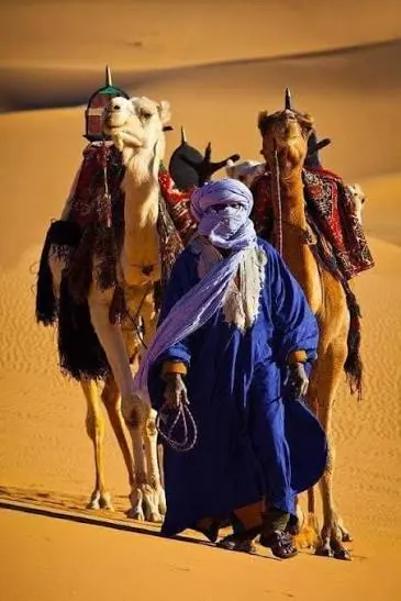 Berber Nomad Experience — A unique cultural experience far from the usual tourist routes.